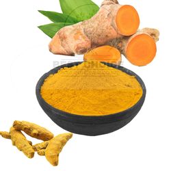 fresh ceylon organic pure natural curcuma longa spice curcuma tumeric powder