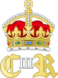 charles iii promonarchy new king celebration royalty fan