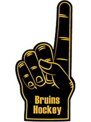 boston bruins hockey foam finger