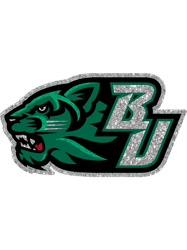 binghamton logo .png