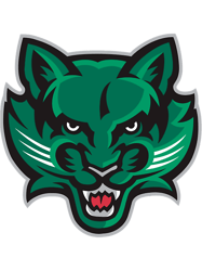 binghamton university(1).png