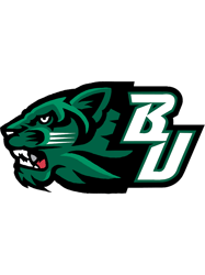 binghamton university (4).png