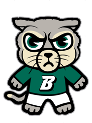 binghamton university1 (1).png