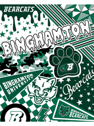 binghamton universityt.png