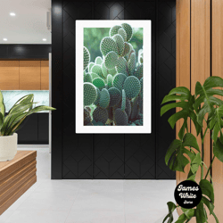 cactus wall art, tropical canvas art, nature wall decor, roll up canvas, stretched canvas art, framed wall art painting