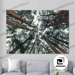 wooded area, natural beauty canvas wall art, nature landscape canvas wall art, landscape canvas wall art, room decor, fr