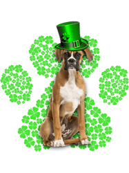 boxer shamrock paw clovers st patricks day boxers dog