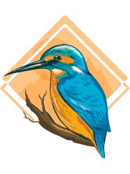 king fisher 2kingfisher bird png t-shirt