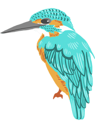 kingfisher 22 png t-shirt