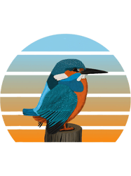 kingfisher bird birdwatcher ornithologist biologist birder png t-shirt