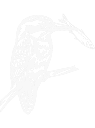 kingfisher with fish png t-shirt