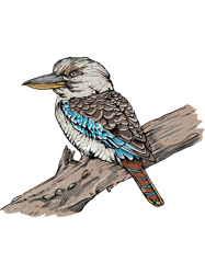 kookaburra i australian bird for a kookaburra fan 21 png t-shirt