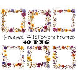 pressed dried wildflowers border frames png boho wildflowers border frames real plants embellishments png pressed flower