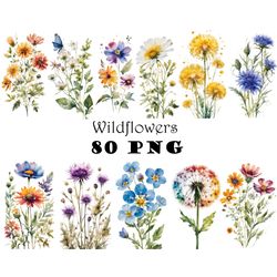 pressed boho watercolor wildflowers clipart bundle png dried plants png transparent background pressed boho plants