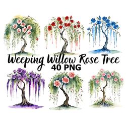 watercolor weeping willow tree with roses clipart bundle png willow anniversary clipart pink white purple blue