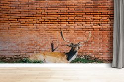 deer wall paper, animal wallpaper, deer wall mural, animal photo wall poster, 3d wall art decor, custom wall paper, mode