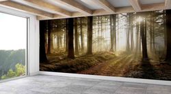 forest path at sunset wall art, wall mural, tree wall mural, landscape wall print, wallpaper, wall decals, art deco, far