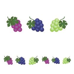 grape icon fruit free