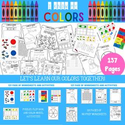 color worksheet and activity book