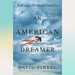 an american dreamer: life in a divided country by david finkel (author)