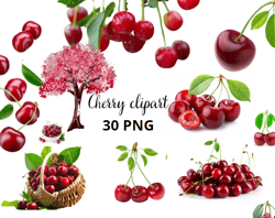 cherry clipart, kersen clipart bundel - 30 fruit png afbeeldingen, cherry blossom clipart, cherry transparent background