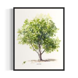 lime tree art print, lime tree wall art poster