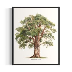 mahogany tree art print, mahogany tree wall art poster