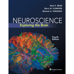 neuroscience: exploring the brain, fourth edition by mark f. bear, barry w. connors, michael a. paradiso (2015) hardcove