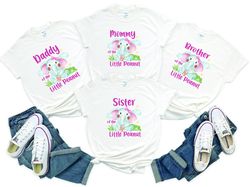 Baby shower matching shirts, Baby shower elefant shirts, pink elephant family shirts, elephant baby shower theme shirt