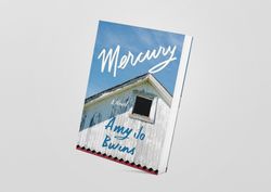 mercury: a novel by amy jo burns