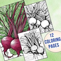 printable beetroot coloring pages | color your own vegetable adventure!