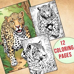 educational & relaxing panther coloring activities for home & school