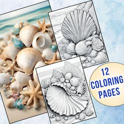 12 enchanting seashell coloring pages | stress-relieving and imaginative