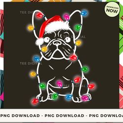 Digital | Dog With String Lights - Christmas Dog T-shirt, Hoodie, Sweatshirt Design - High-resolution Png File