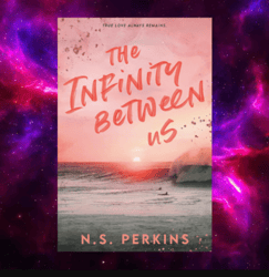 the infinity between us by n.s. perkins