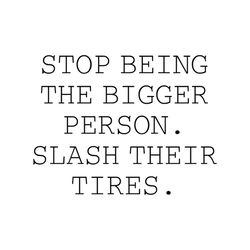 stop being the bigger person slash their tires shirt svg, funny shirt svg, gift for friends, funny saying, svg, png, dxf