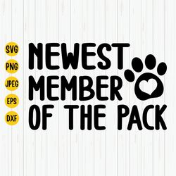 newest member of the pack svg, announcement svg, dog baby svg, pregnancy svg, funny baby onesie svg, baby dog svg, cut f