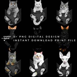 9 cats in pocket png digital designs, png download, png file, printable png, instant download