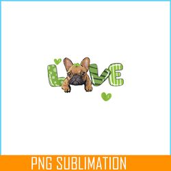 saint st. patrick's day gift french bulldog frenchie lovers png