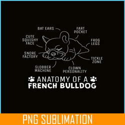 anatomy of a french bulldog png, frenchie bulldog png, french dog artwork png