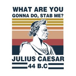 retro vintage what are you gonna do stab me julius caesar svg, trending svg, julius caesar svg, julius caesar gift, juli