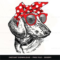 dachshund bandana sunglasses mothers day digital png file, instant download, png download