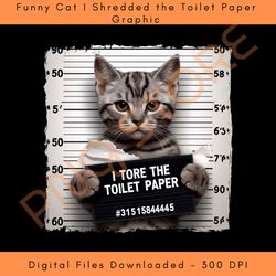 funny cat i shredded the toilet paper