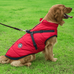 dog coat with zipper on back