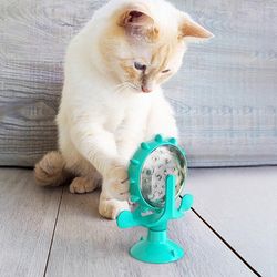 rotating windmill pet toy