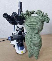 Rotifer Plushy Amigurumi Crochet Patterns, Crochet Pattern