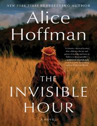 the invisible hour by  alice hoffman