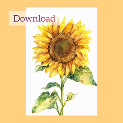 digital sunflower postcard