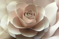 rose paper flower