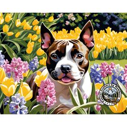 paint by number - staffordshire bull terrier, acrylic diy paint by numbers kit, animal paintings, pet portrait, wall art